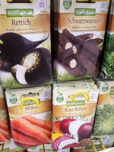 Schwarzwurzel, Rettich, Saatgut, Sämerei, Gemüsesamen, Gemüsebeet, Bauerngarten